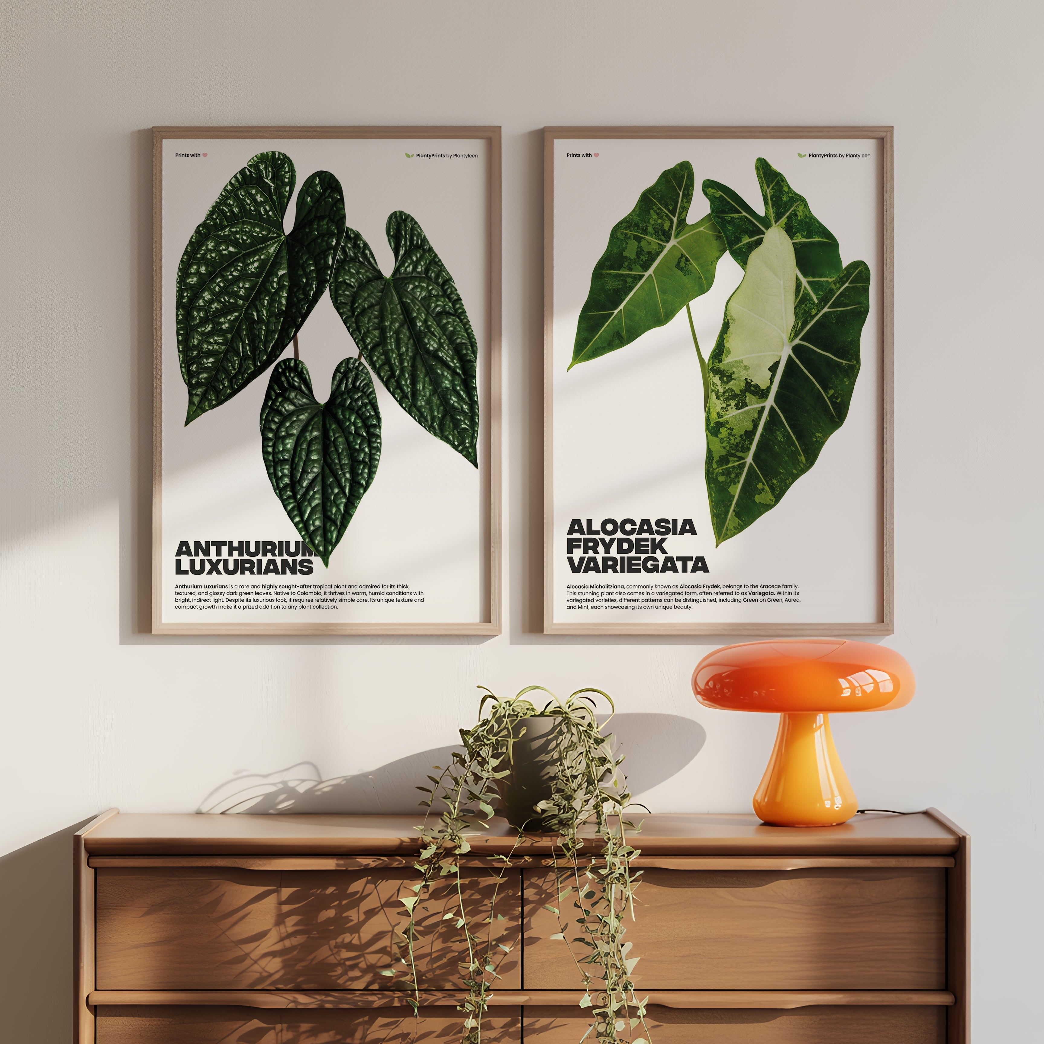 Home decor for plant enthusiasts